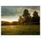 Designart - Beautiful Sunrise in the farm - Landscape Canvas Art Print
